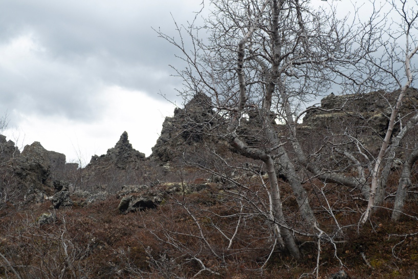 Arbres et rochers à Dimmuborgir