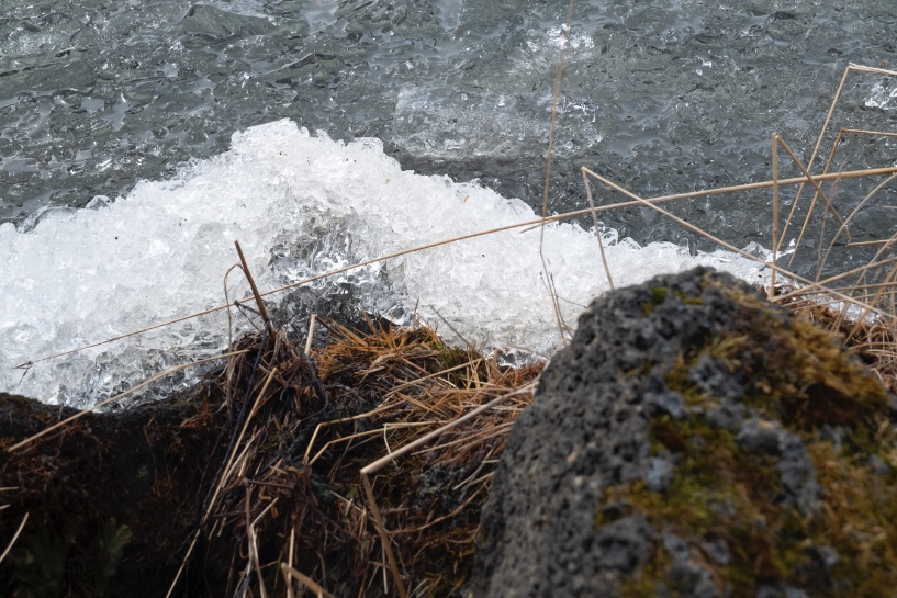 Morceau de glace dans le lac Mývatn