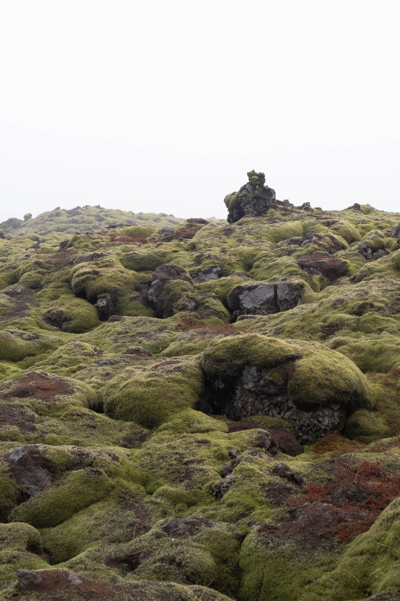 La lave solide recouverte de mousse verte à Scenic Green Lava Walk